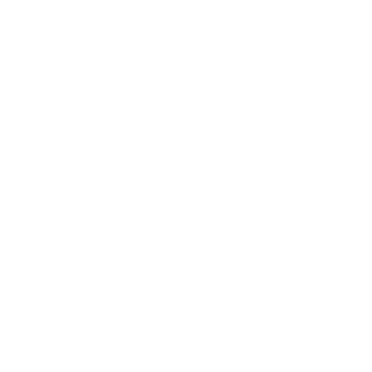 VW_logo_weiss_new-2217